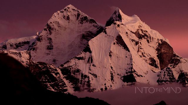 Into The Mind – le teaser de Sherpas Cinema que tu dois regarder!