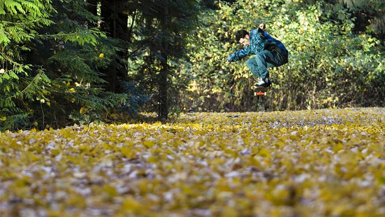 Nice pic: skate d'automne