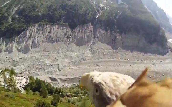 Le POV d'un aigle à tête blanche qui survole la Mer de Glace à Chamonix!