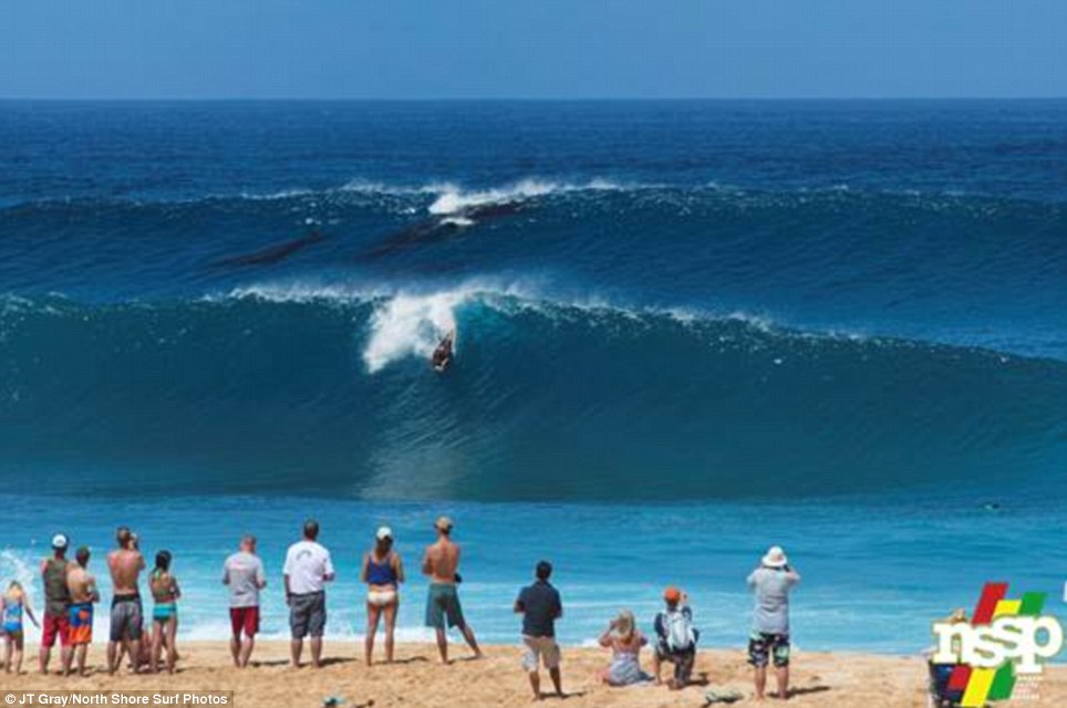 Mom & Calf Humpback Whales Photographered Surfing Hawaii Pipeline Wave - With Drone Video!
