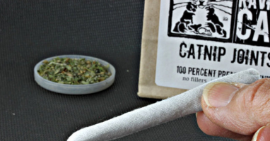 Get your Cat stoned with one of these Catnip Joints!