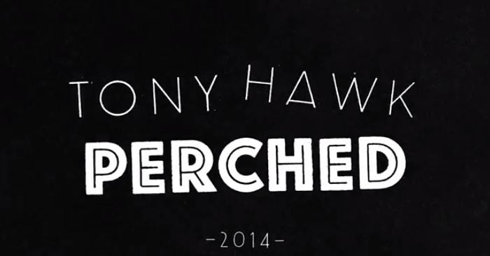 Tony Hawk Perched 2014 - Le faucon impressionne encore!