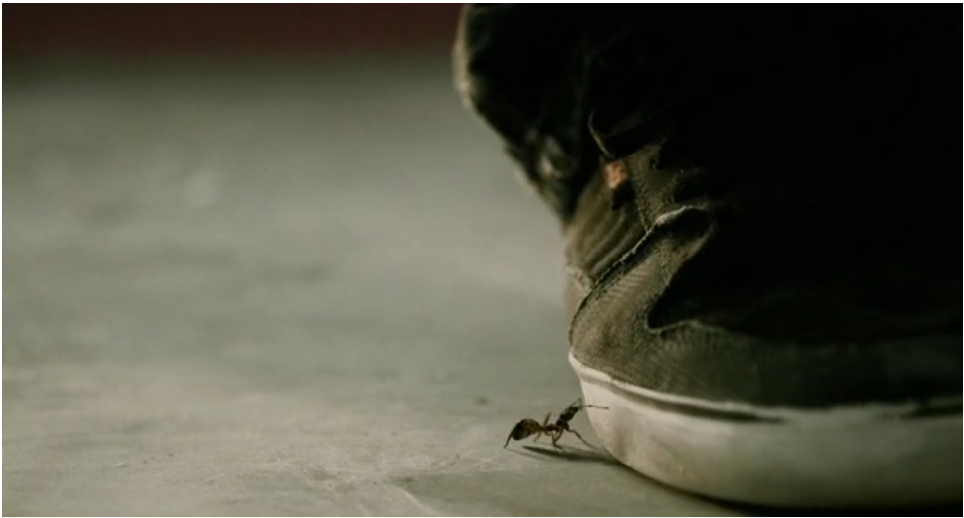 Une fourmi au skatepark: une vidéo de skate vraiment pas comme les autres!