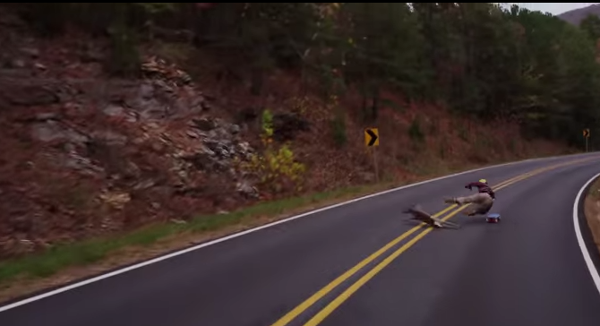 Bye bye Bambi - Un longboarder entre en collision avec un bébé cerf.