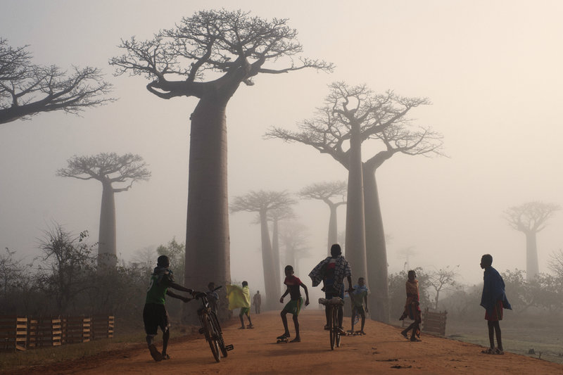 Melodies for the Lemurs : Red Bull nous offre des images d'un trip de skate à Madagascar.